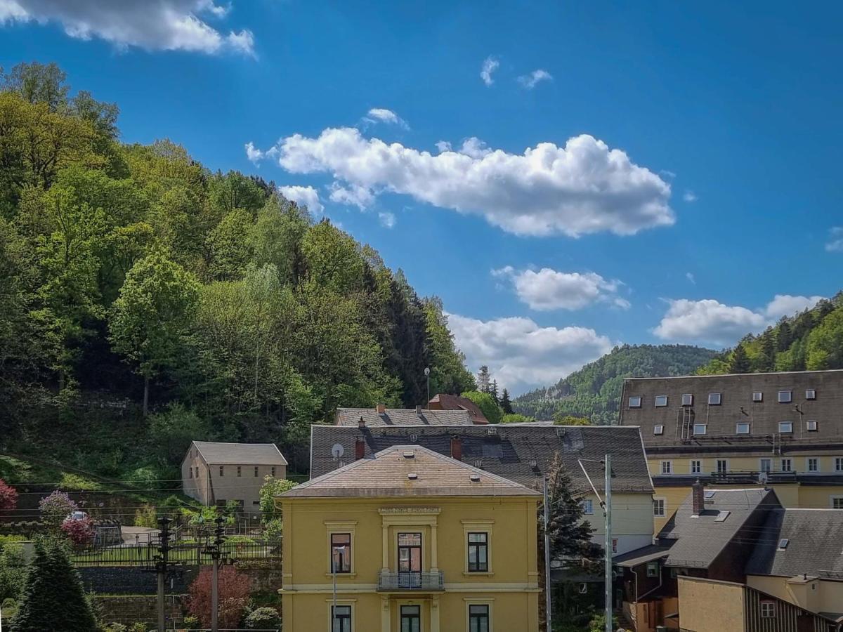 Ferienappartements Elbaussicht - Krippen Bad Schandau Eksteriør bilde